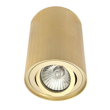 Lampa sufitowa tuba 497 Domeno LED okrągła spotlight metalowa złota