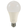 Żarówka PLATINUM 307309 Polux E27 A80 LED 20W 2000 lm 230V biała zimna 6400K
