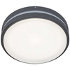 Plafon do ogrodu Hamburg 8848 Rabalux LED 12 W 4000K IP44 antracyt