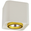 LAMPA sufitowa XENO 311993 Polux kwadratowa OPRAWA metalowa LED 10W 3000K biała złota