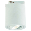 LAMPA sufitowa Rullo Bianco Track Orlicki Design metalowa OPRAWA do systemu szynowego 1-fazowego biała