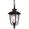 Wisząca LAMPA ogrodowa KL/LUVERNE8/M Elstead KICHLER industrialna OPRAWA metalowy zwis na łańcuchu IP44 brąz przezroczysty