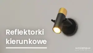 Reflektorki kierunkowe