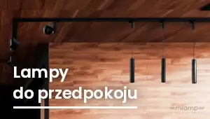 Lampy do przedpokoju