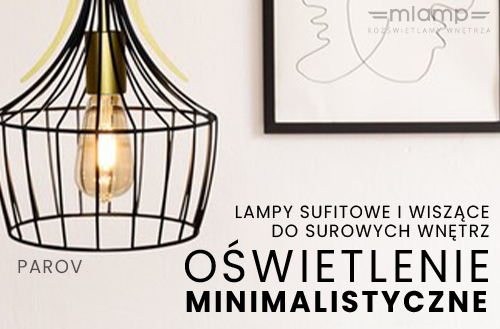 Nowoczesne lampy do surowych pomieszczeń - oświetlenie minimalistyczne