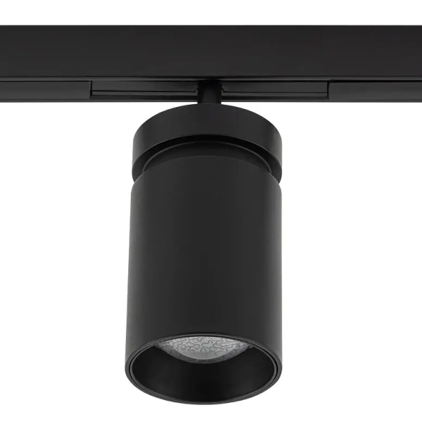 Sufitowa lampa 1-obwodowa 11713 LED 2W 3000K czarny