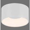 Sufitowa lampa Tanika 14325-16 Just Light LED 13W 3000K tubka biała