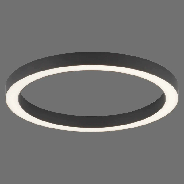 Sufitowa lampa PURE-LINES antracyt 6309-13 1xLED 30W 2700-5000K z pilotem