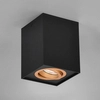 Metalowa lampa sufitowa BISCUIT 613000180 Trio kuchenna czarny złoty