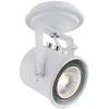 Sufitowa LAMPA reflektorek ALTER 50275101 Kaspa metalowa OPRAWA ścienna spot regulowany biały