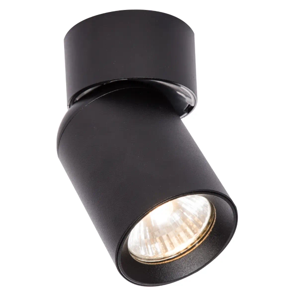 Sufitowa lampa regulowana Pointa LP-6398/1WS BK do przedpokoju czarny