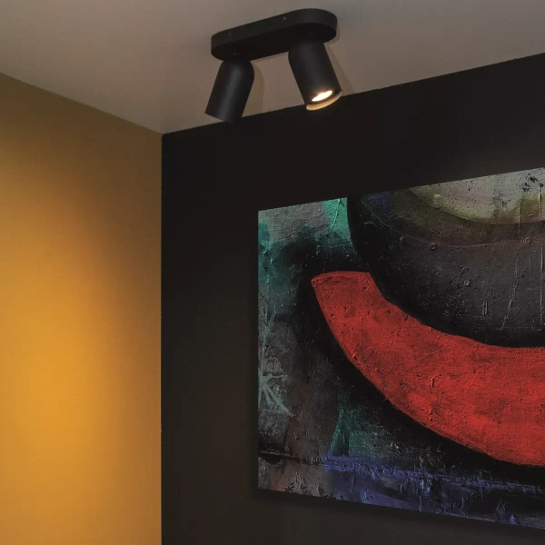 Podwójna lampa sufitowa PUNCH 13958/02/30 Lucide regulacja czarny