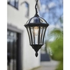 Lampa wisząca latarnia Drayton YG-3503 Endon IP44 przezroczysty czarny