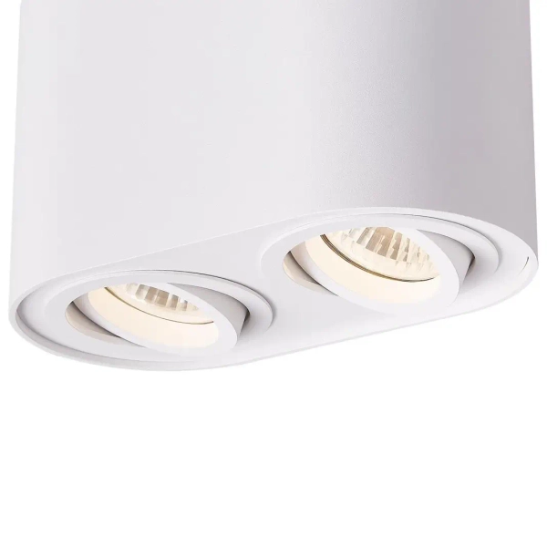 Regulowana lampa sufitowa Rondoc ACGU10-190-N Zumaline biały downlight