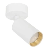 Regulowana sufitowa lampa kierunkowa Amis 10794 tuba złoty biały
