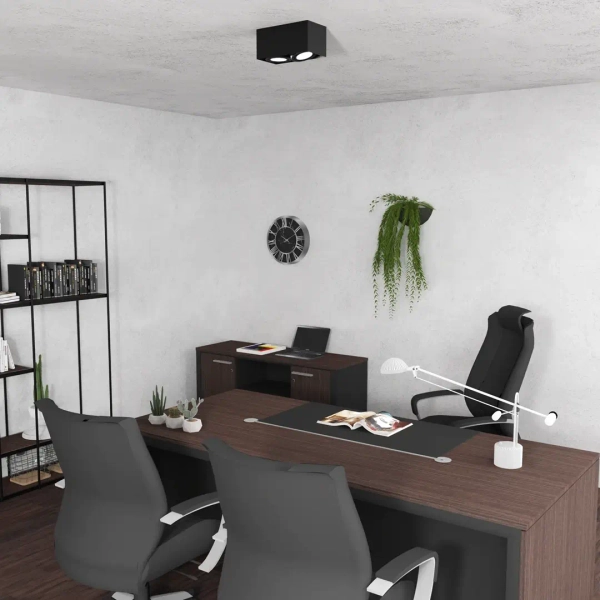 Podwójna lampa sufitowa Plaza ML4746 metalowa natynkowa czarna