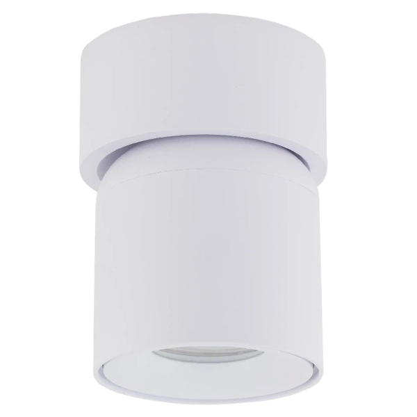 Spot sufitowa lampa punktowa Twist 10576 regulowana metalowa biały