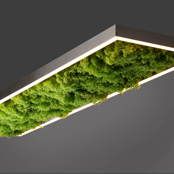Dekoracyjny plafon GREEN KNUT 15623-66 LED 25W 3000K do jadalni zielony