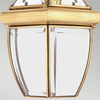Balkonowa lampa wisząca Newbury QZ-NEWBURY8-M-PB Quoizel IP44 przezroczysta mosiądz