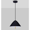 Wisząca lampa jadalniana CARAPARI LE44654 LED 17W 3000K czarna