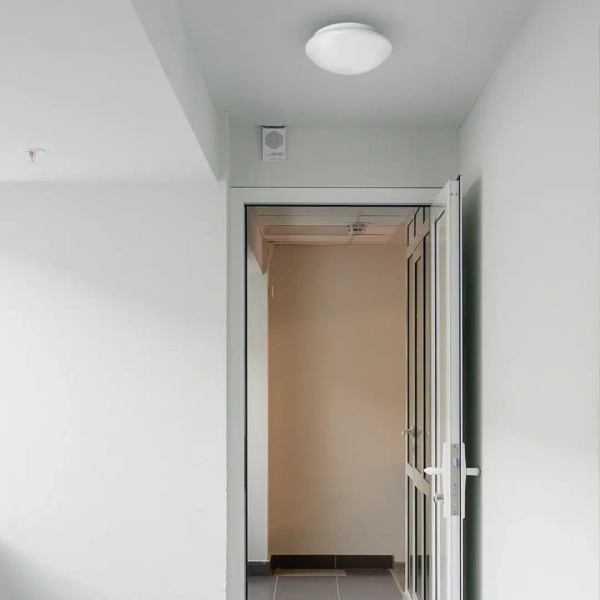 Minimalistyczny plafon sufitowy FURY EKP1301 owalny do salonu biały