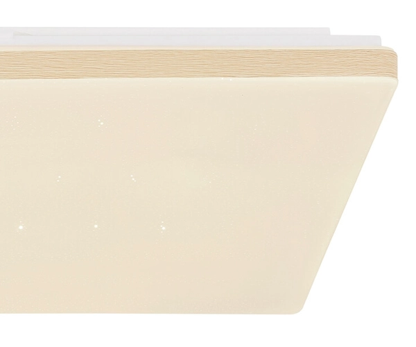 Lampa sufitowa Ully 48025WSH zdalnie sterowana LED 24W 2700-6000K biała