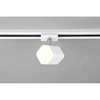 Dwufazowa lampa sufitowa Duoline 78150131 LED 4W 3000K do szyny biały