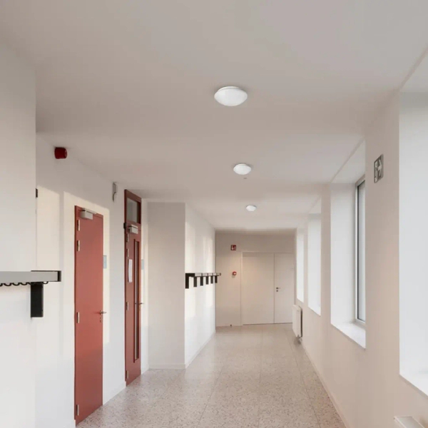 Minimalistyczny plafon sufitowy FURY EKP1301 owalny do salonu biały