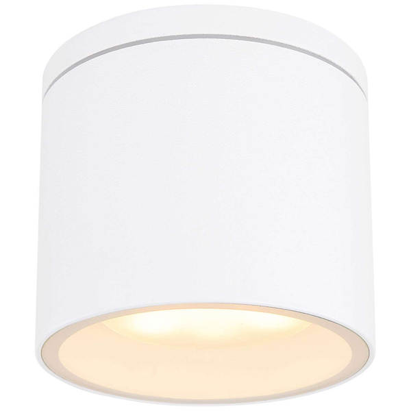 LAMPA sufitowa stropowa ALCALA 32063W Globo zewnętrzna OPRAWA tuba outdoor IP44 biała przezroczysta