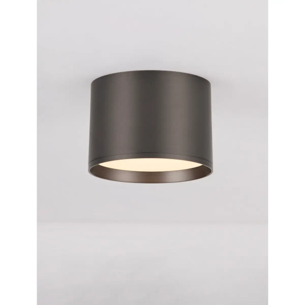 Sufitowa ledowa tuba RINVELA LE45506 LED 17W 3000K srebrna