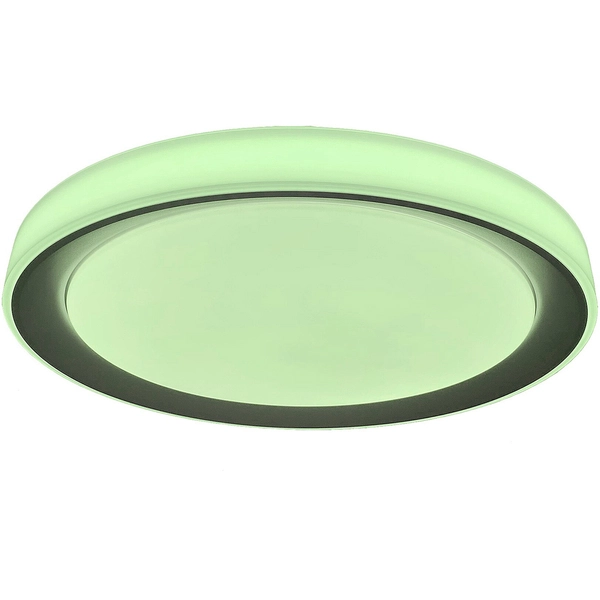 Okrągła lampa sufitowa Everest LED 40W 2700-6500K z pilotem srebrna