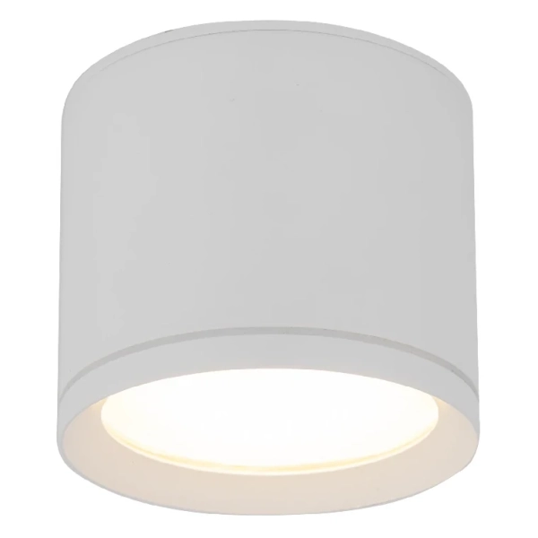 Downlight sufitowy do kuchni Viwo 10595 tuba nad blat IP44 biały