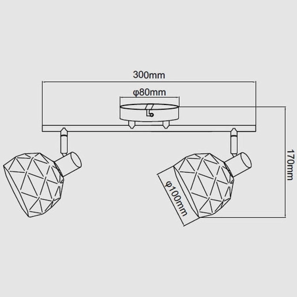 Regulowana LAMPA sufitowa REUS LP-8069/2WS BK Light Prestige metalowa OPRAWA reflektorki spot czarny