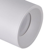 Ruchoma lampa sufitowa ASTRA 314062 metalowy downlight biały