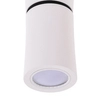 Kierunkowa lampa sufitowa Lino sterowana aplikacja biała