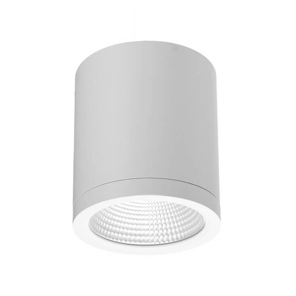 Ledowa lampa spot Conyon AZ6026 10W 3000-6000K sufitowa IP54 tuba biała