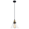 Industrialna LAMPA wisząca GETAN MDM-2564/1 Italux szklana OPRAWA stożek ZWIS okrągły conrad francis przezroczysty