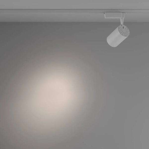 Lampa 1-fazowa sufitowa Vuoro TR003-1-26W4K-S-W LED 26W 4000K biały