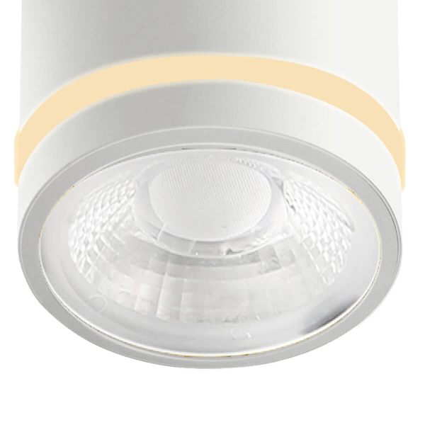 Łazienkowa lampa sufitowa VICI AZ6040 LED 12W 3000-6000K IP44 tuba biały
