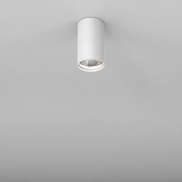 Lampa sufitowa spot biały PET 1xGU10 downlight minimalistyczny do holu  42311-G000-00-PH-13