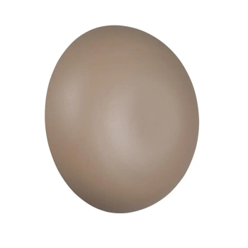 Lampa na ścianę DAVEY R24431143 LED 1,5W 3000K ze ściemniaczem beżowy