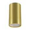 Sufitowa lampa Puzon 04241 Ideus rurka do salonu metalowa złota