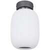 Sufitowa lampa owalna BOOMER 15437D1 Globo LED 21W 3000K szklana biała
