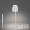 Metalowa lampka stołowa Euria 19250-16 LED 3W 3000K IP54 biała