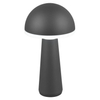 Zewnętrzna lampka stojąca Fungo R57716142 IP54 LED 2W 3000-5000K czarny