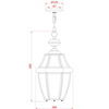 Ogrodowa LAMPA wisząca QZ-NEWBURY8-L-AC Elstead QUOIZEL zewnętrzna OPRAWA outdoor ZWIS na łańcuchu IP23 miedź przezroczysta