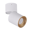 Reflektorek sufitowy Astra 314024 Polux downlight tuba biała
