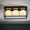 Lampa łazienkowa sufitowa L&-195051 Light& klatka szklana IP44 czarna