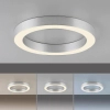 Plafon sterowany pilotem PURE-LINES srebrny 6310-95 1xLED 21W 2200-5500K owalny