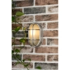 Ogrodowa lampa ścienna Salcombe SAL5244 szklana IP44 srebrna